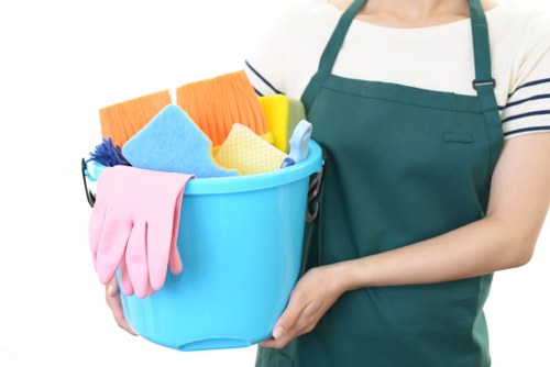 Park Royal Carpet Cleaners introduction to professional carpet care