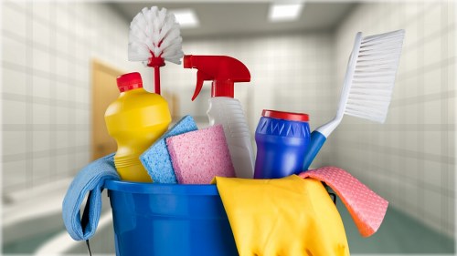 Professional carpet cleaning in a Park Royal home