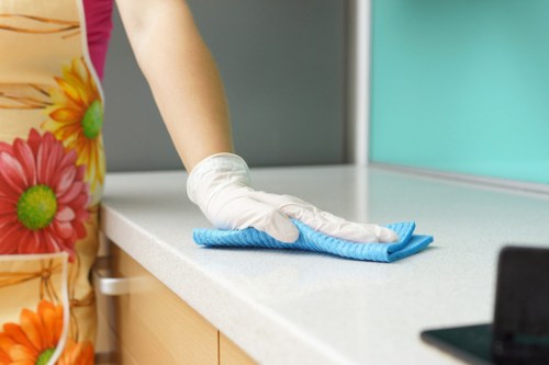 Steam carpet cleaning equipment in a Park Royal home