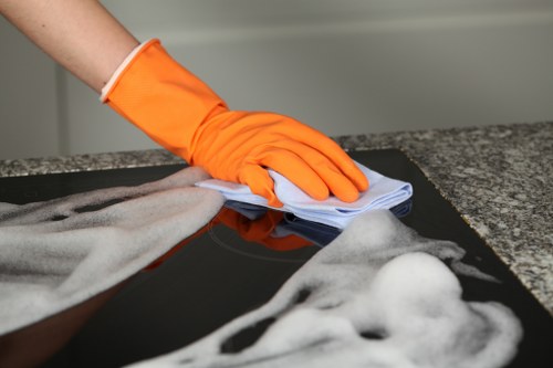 Carpet cleaning quote for a Park Royal apartment interior