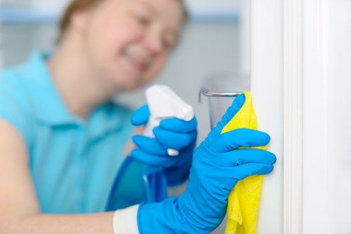 Final overview of Park Royal Carpet Cleaners and its service philosophy