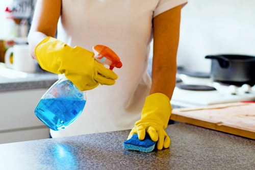 Professional curtain cleaning in a Park Royal home