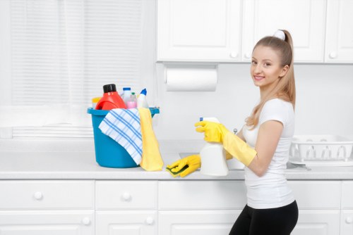 Professional carpet cleaning in a Park Royal property