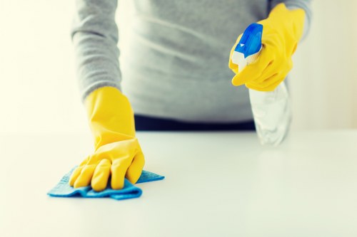 Carpet cleaning service terms and conditions introduction