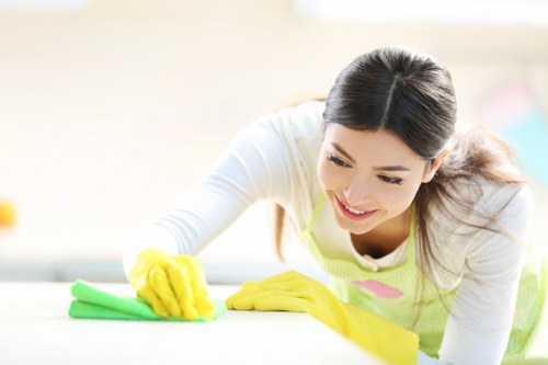 Curtain cleaning process for delicate fabric in Park Royal