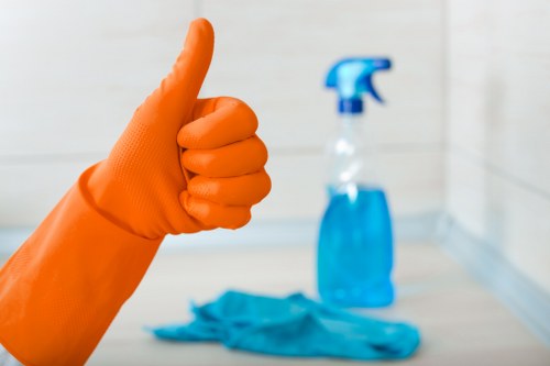 Pet stain odour removal in Park Royal on carpeted flooring