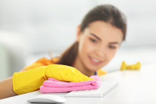 Professional carpet cleaners in Park Royal working on interior surfaces