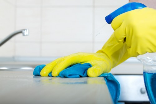Professional stain removal on a carpet in Park Royal