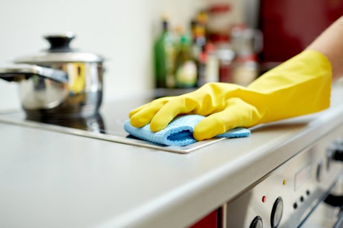 Stain removal and carpet care in Park Royal