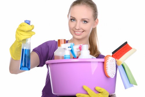 Professional pet odour treatment in a Park Royal home