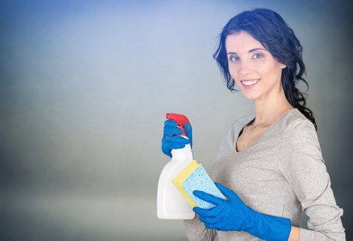 A detailed view of Park Royal carpet cleaning services and quality standards