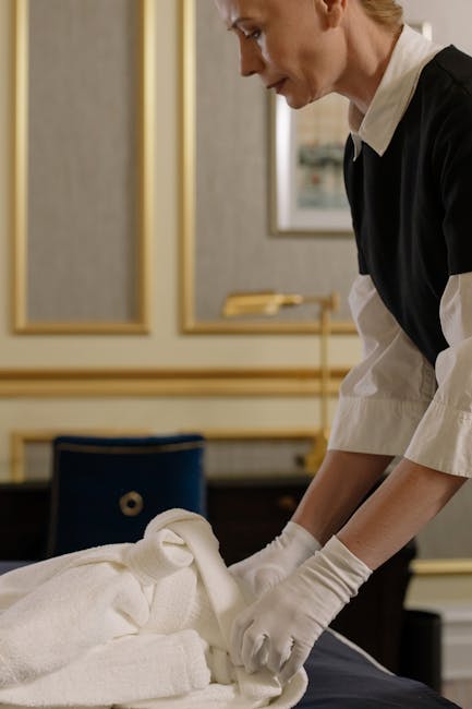 Two professional cleaners from Park Royal Carpet Cleaners are performing surface cleaning in a modern living room. The room features a large sofa with several cushions, two windows letting in natural